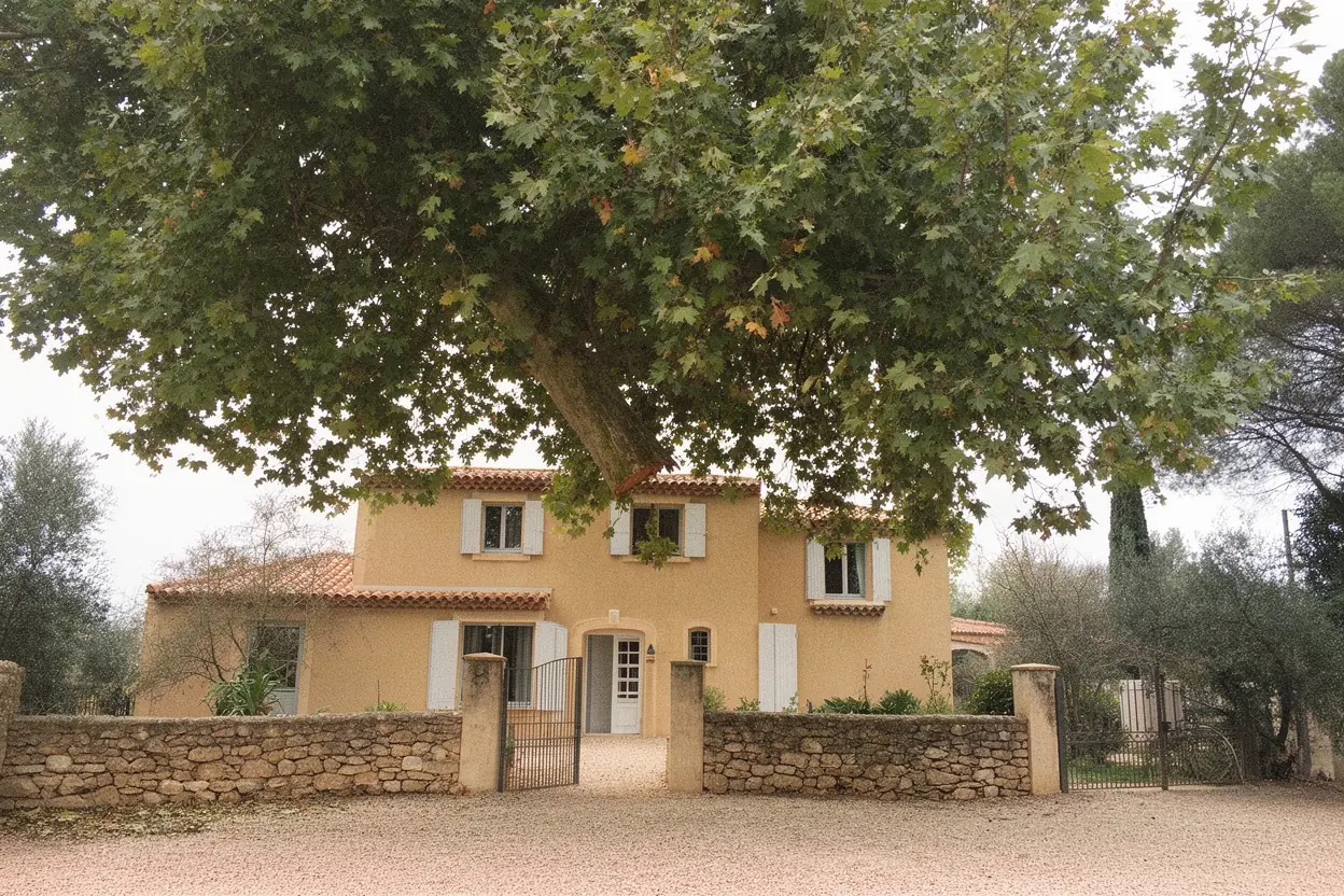 Platane sécurisé et allégé après démontage