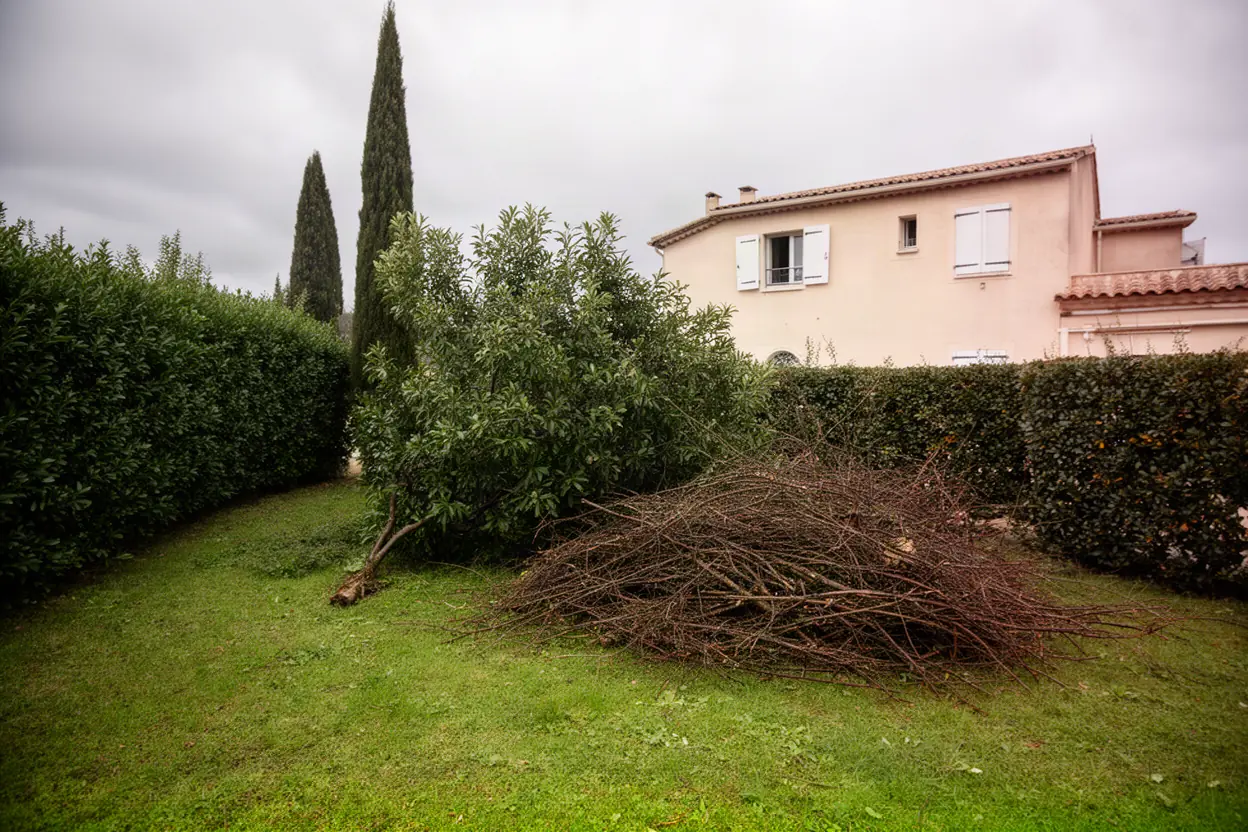 Branches cassées par le mistral dans un jardin à Sénas