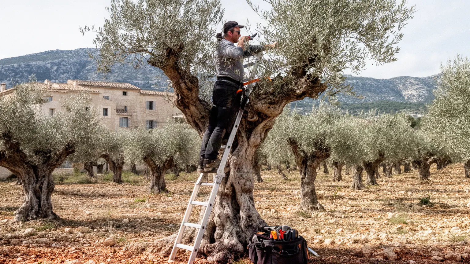 Élagueur professionnel à Eyguières (13) et alentours
