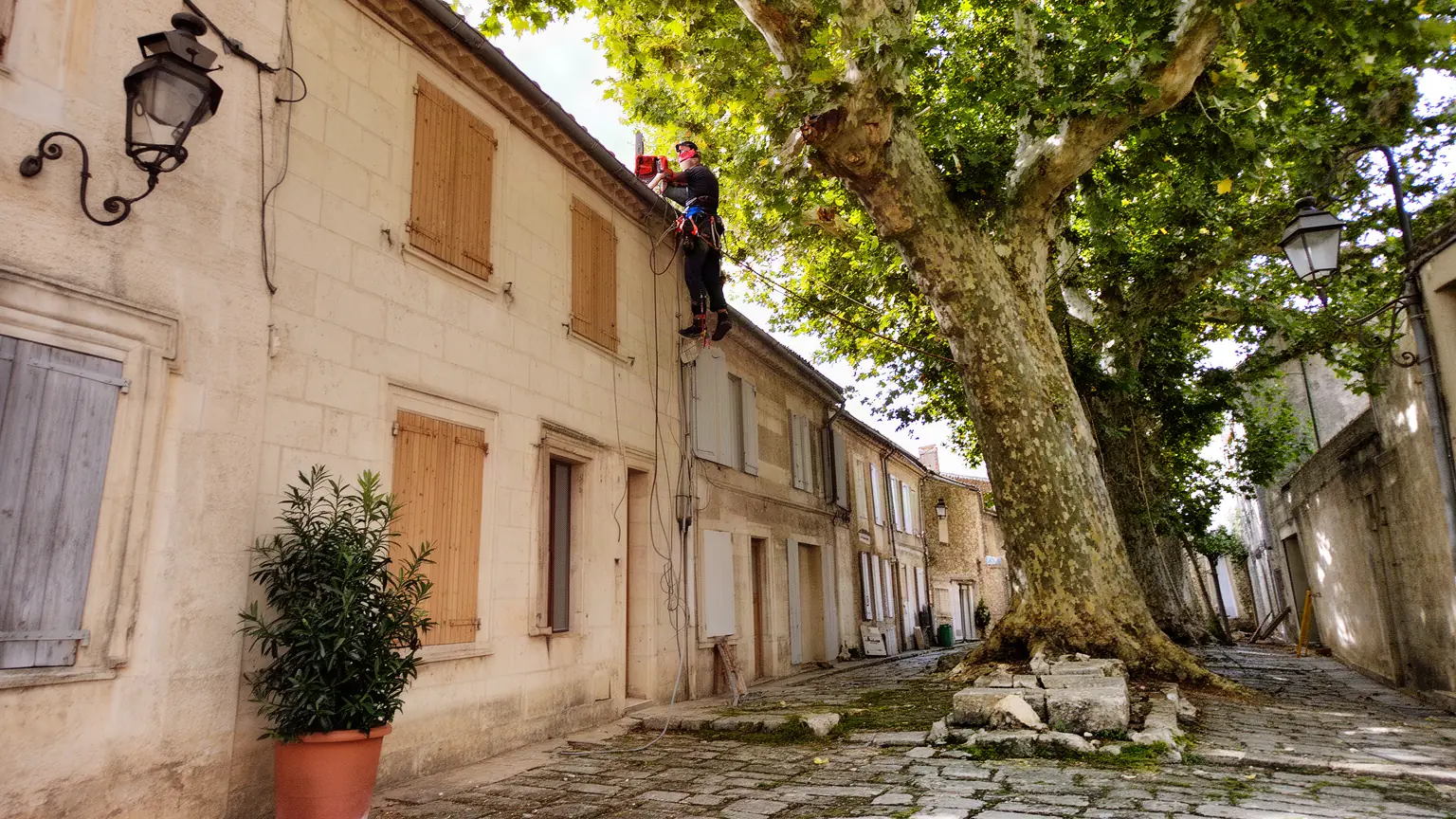 Élagueur professionnel à Grans et alentours
